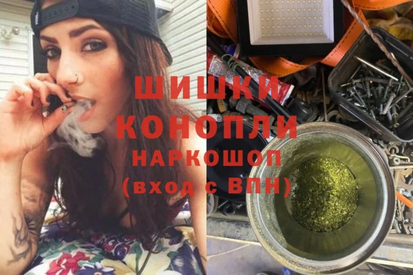 стаф Белоозёрский