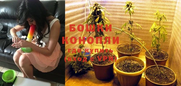 стаф Белоозёрский